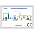 Xinhai-Gold-Extraktions-Ausrüstung / CIP-Betriebsgruppen-Einleitung